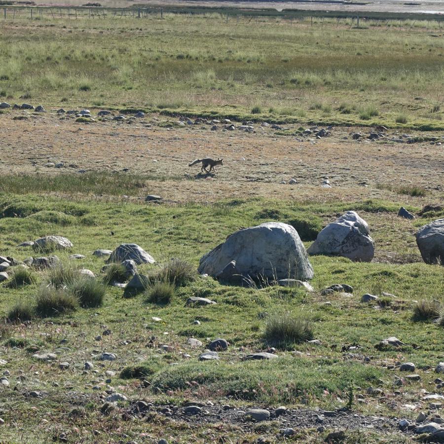 Dsc09637
