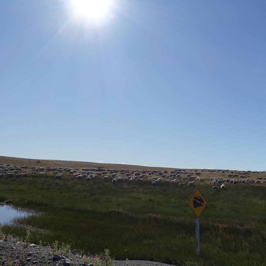 Dsc09651