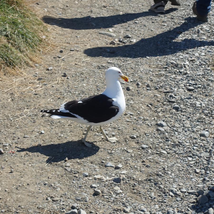 Dsc09843